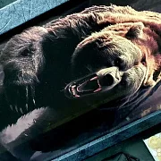 Нарды под стеклом «Хозяин тайги» в подарок — фотография 4