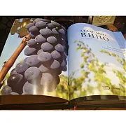 Атлас мира вино в футляре — книга для мужчины — красивый подарок — фотография 6