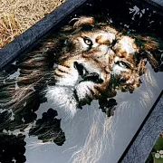 Подарочные нарды под стеклом «Лев» — фотография 5
