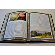 На память: Русская охота. Исторический очерк — книга для мужчины — фотография 6
